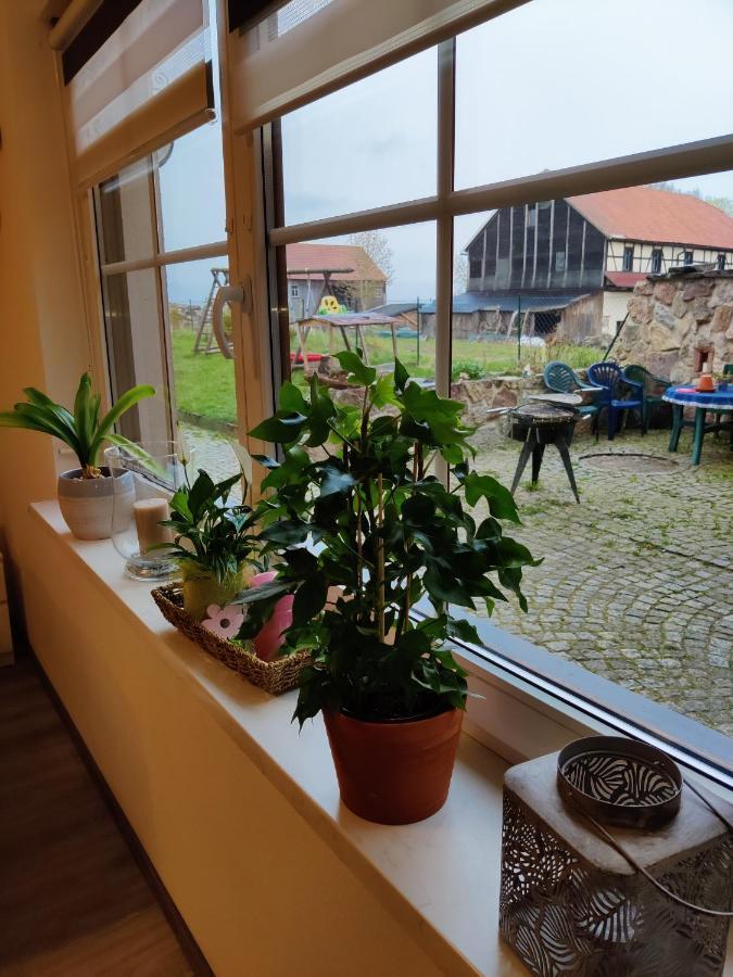 Ferienwohnung Brunow "In Der Natur Zuhause" Neundorf  Exterior foto