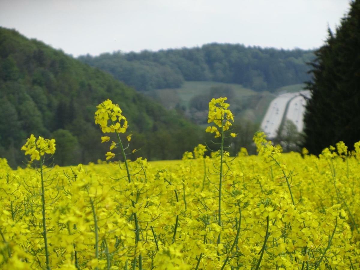 Ferienwohnung Brunow "In Der Natur Zuhause" Neundorf  Exterior foto